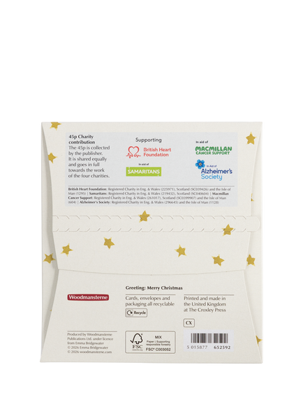 Emma Bridgewater Robins Charity Christmas Cards, Pack of 5 - view 2, Multi