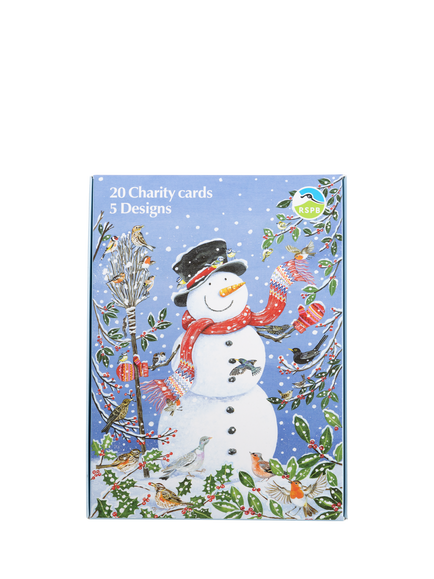 Woodmansterne RSPB Charity Christmas Cards, Pack of 20, Multi