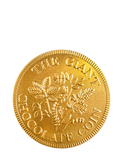 Sweet Me Keep Me Giant Gold Milk Chocolate Coin, Multi