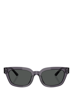 Emporio Armani EA4233U Women's Irregular Sunglasses - view 2, Transparent Grey/Grey