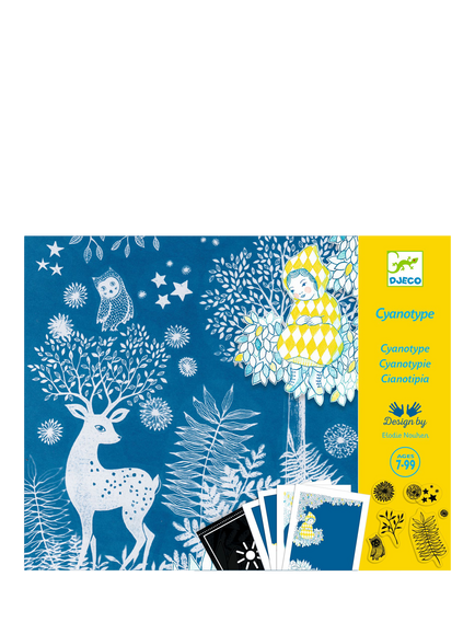 Djeco Au Clair de la Lune Cyanotype Kit, Multi