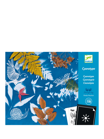 Djeco Cyanotype Starter Kit, Multi