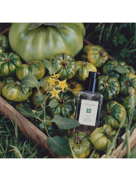 Jo Malone London Tomato Leaf Hand Wash, 250ml - view 2, 