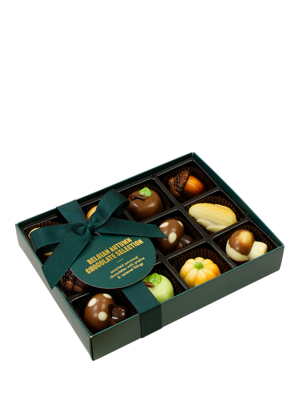 Natalie Belgian Autumn Chocolate Collection, 165g, Multi