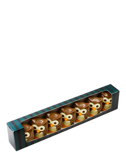 Natalie Belgian Chocolate Praline Owls Gift Box, 85g, Multi
