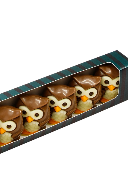 Natalie Belgian Chocolate Praline Owls Gift Box, 85g - view 2, Multi