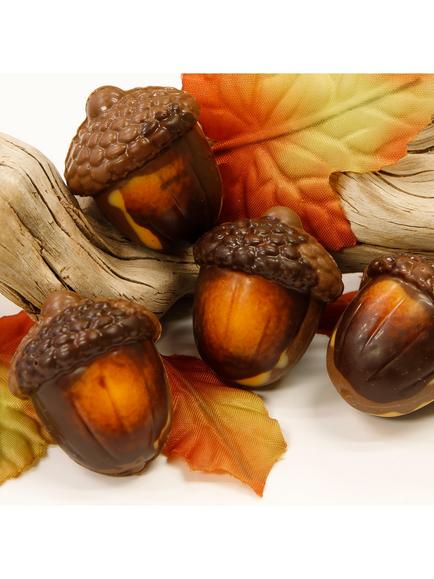 Natalie Praline Filled  Belgian Chocolate Acorns, 135g - view 2, Multi