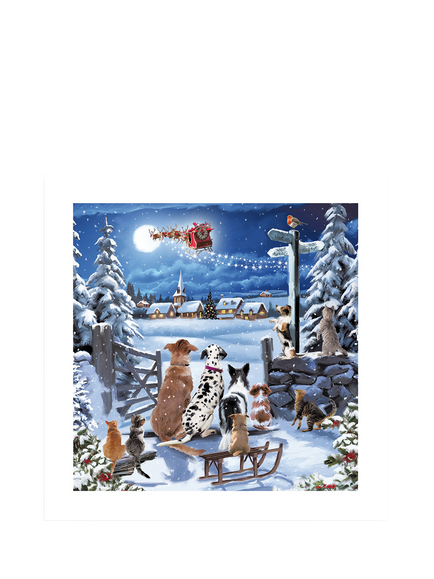 Woodmansterne Dogs And Cats Looking Santa Christmas Card, Multi