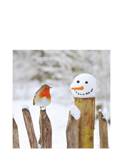 Woodmansterne Robin On A Snowy Fence Christmas Card, Multi