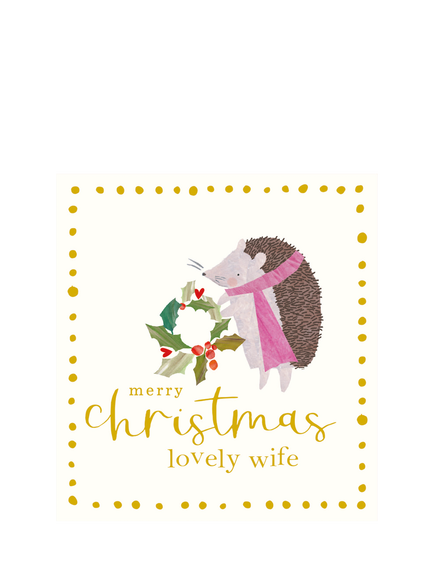 Caroline Gardner Wife Hedgehog In Scarf Christmas Card, Multi