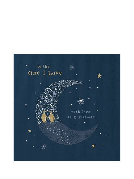 Woodmansterne Two Penguins Moon Christmas Card, Multi