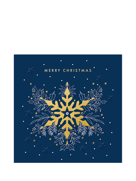 The Proper Mail Company Large Star Christmas Card, Multi