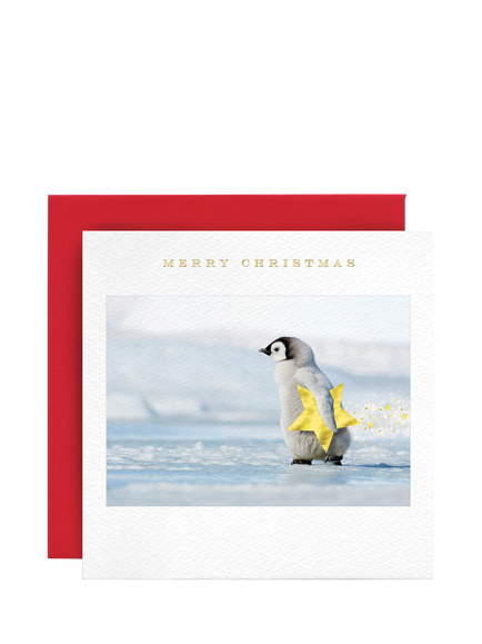 Susan O'Hanlon Penguin Chick With Star Christmas Card, Multi