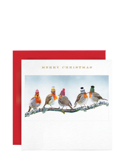 Susan O'Hanlon Robins In Hats Christmas Card, Multi