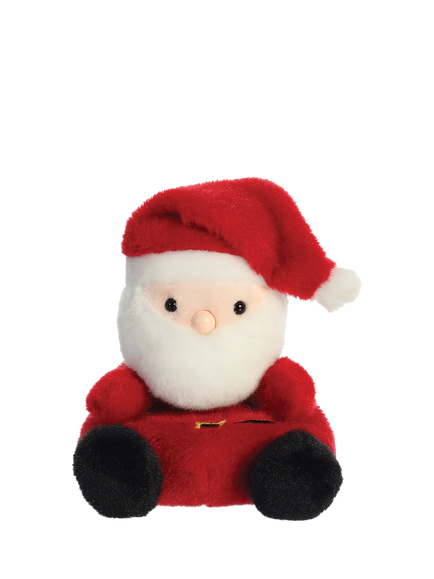 Palm Pals Santa Claus Soft Toy, Multi