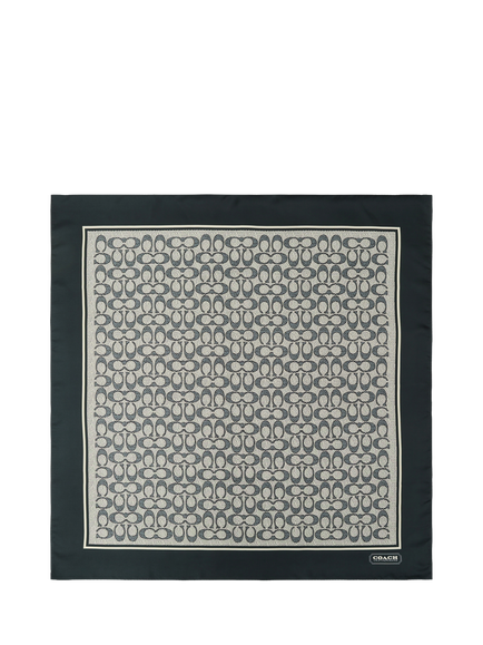 Coach Textured Signature Silk Scarf, Navy, Navy
