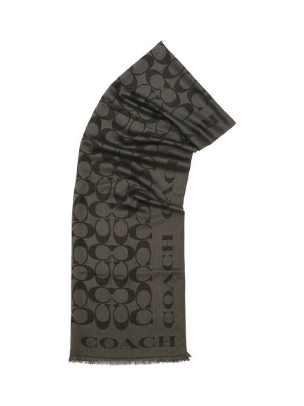 Coach Signature Border Silk Rich Scarf, Black, Black
