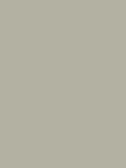 William Morris At Home House Sparrow Matt Emulsion Paint, 2.5L, 124311