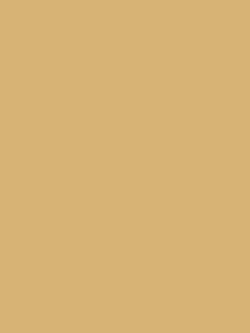William Morris At Home Lawn Daisy Matt Emulsion Paint, 2.5L, 124283