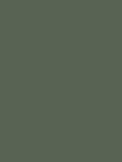 William Morris At Home Olive Character Matt Emulsion Paint, 2.5L, 124317