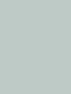 William Morris At Home Port Meadow Matt Emulsion Paint, 2.5L, 124305