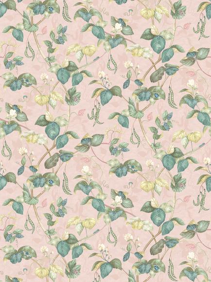 Osborne & Little Cupani Wallpaper, Blush