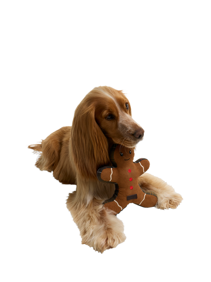 Barbour Dog Christmas Gingerbread Toy - view 2, Brown