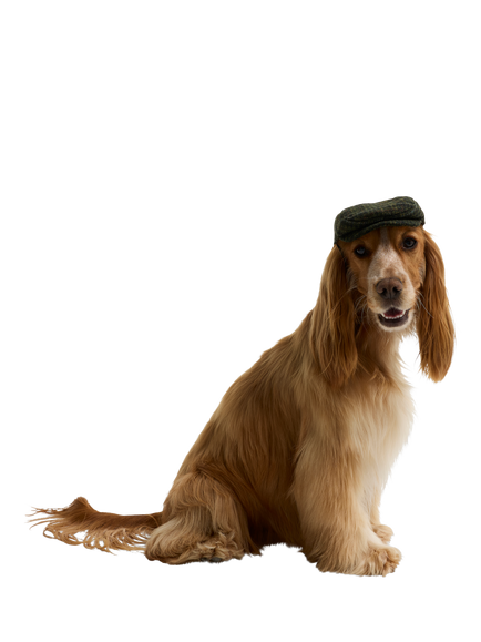 Barbour Wilkin Tweed Flat Cap for Dogs - view 2, Green Khaki