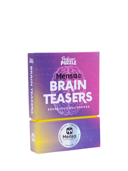 Ginger Fox Mensa Brain Teasers Game - view 2, Multi