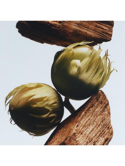 Jo Malone London English Oak & Hazelnut Cologne, 9ml - view 2, 