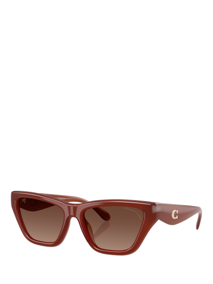 Coach HC8449U Women's Polarised Cat's Eye Sunglasses, Hazelnut/Brown, Hazelnut/Brown