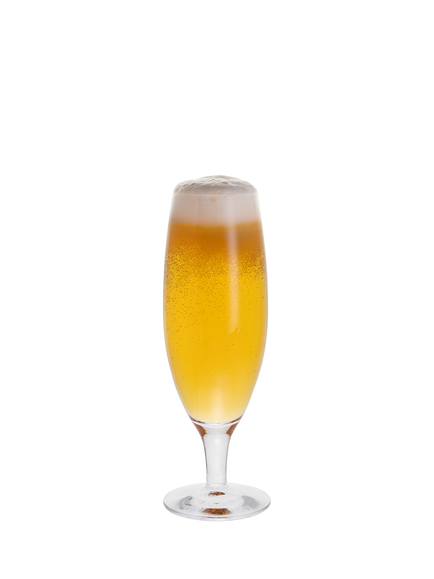 Dartington Crystal Connoisseur Lager Beer Glass, 380ml, Clear, Clear
