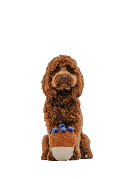 By Teddy Blueberry Muffin Dog Toy - view 2, Multi Multi