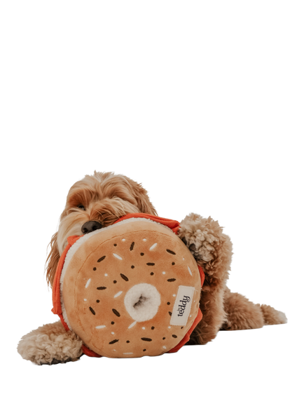 By Teddy Salmon and Cream Cheese Bagel Dog Toy - view 2, Multi Multi