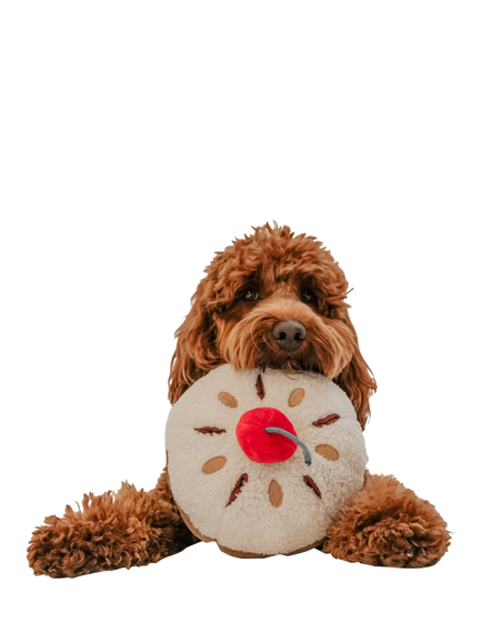 By Teddy Cherry Bakewell Dog Toy - view 2, Multi Multi