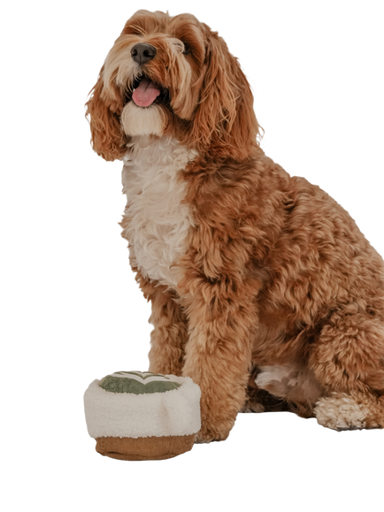 By Teddy Cherry Matcha Latte Dog Toy - view 2, Multi Multi