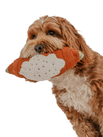 By Teddy Pistachio Croissant Dog Toy - view 2, Multi Multi