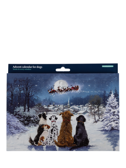 Woodmansterne Dog Treat Advent Calendar, Multi Multi