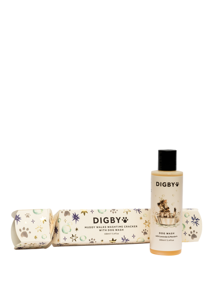Bramley Digby Dog Wash 2026 Christmas Cracker, Multi, Multi Multi