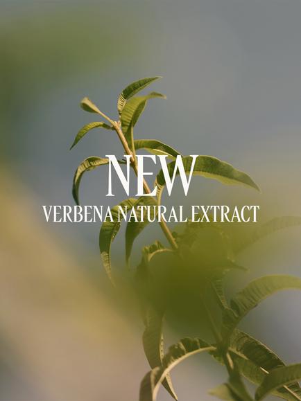 L'OCCITANE Verbena Perfumed Shower Gel Refill, 500ml - view 2, Clear