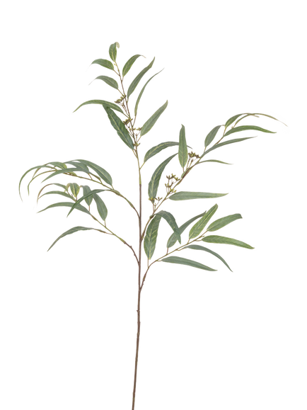 Floralsilk Artificial Long Leaf Eucalyptus, H117cm, Green