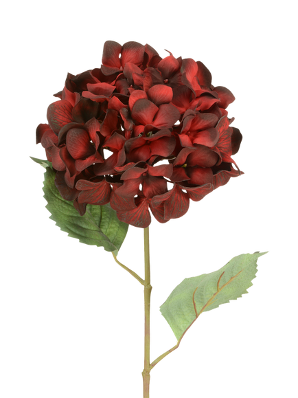 Floralsilk Artificial Lux Hydrangea, H68cm, Red, Red