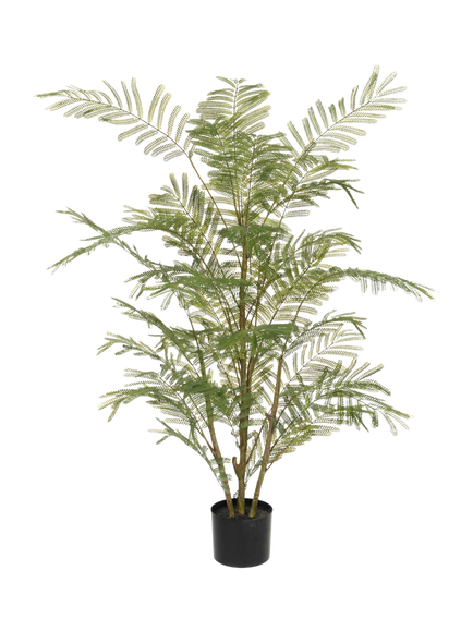 Floralsilk Artificial Acacia Tree in Pot, H135cm, Green