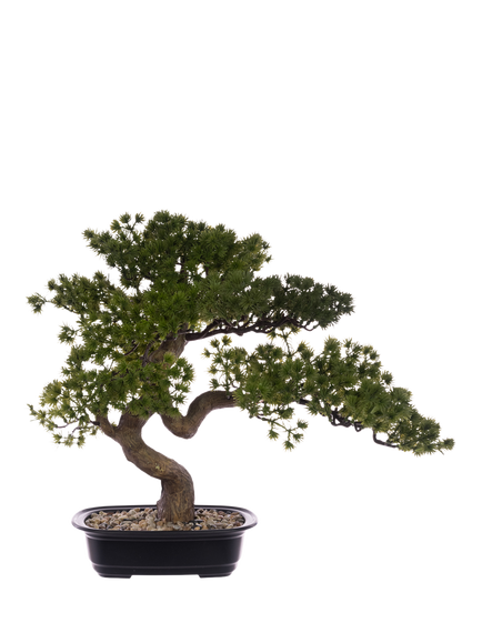 Floralsilk Artificial Bonsai Tree in Ceramic Pot, H44cm, Green