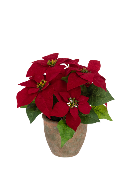 Floralsilk Artificial Poinsettia in Ceramic Pot, H35cm, Red, Red