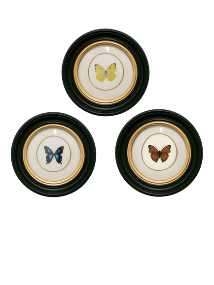 Brookpace Lascelles Butterfly Round Porthole Framed Print, Set of 3, 36cm, Multi