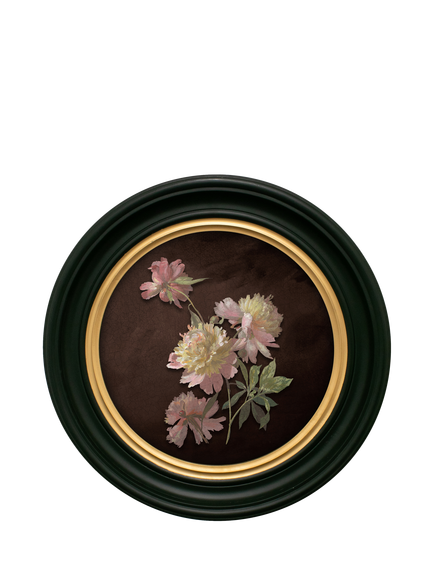 Brookpace Lascelles 'Peonies' Round Porthole Framed Print, 51cm, Multi