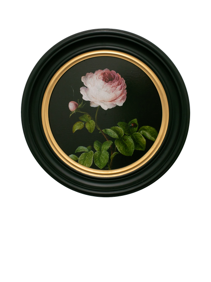 Brookpace Lascelles 'Rose' Round Porthole Framed Print, 51cm, Multi