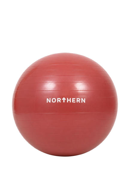 Northern Gym Equipment Swiss Body Toning Ball, Dusk Pink