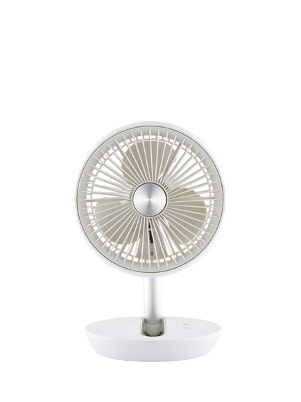 Dimplex DXRCFN Rechargeable Desk Fan, White, White